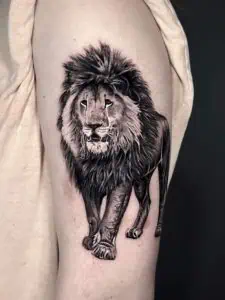 Lion Tattoo