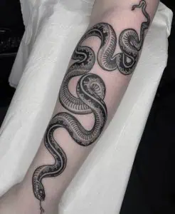 Snake Tattoo Blackwork on arm