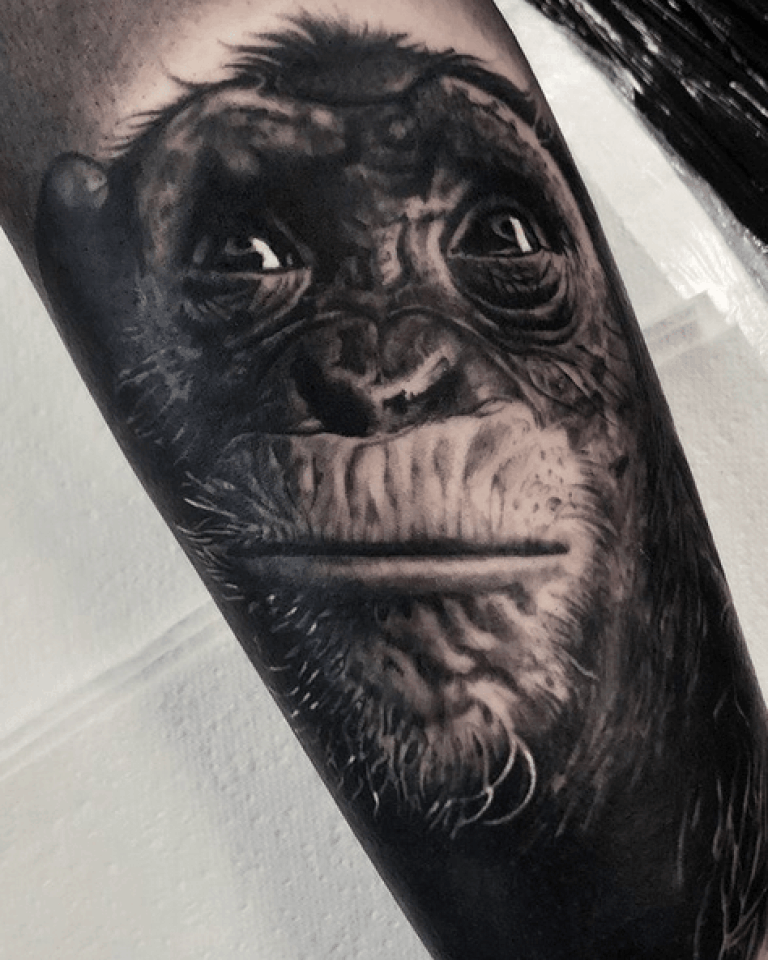 Screen Shot 2019-03-11 at 18.12.13